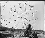 Paratroopers